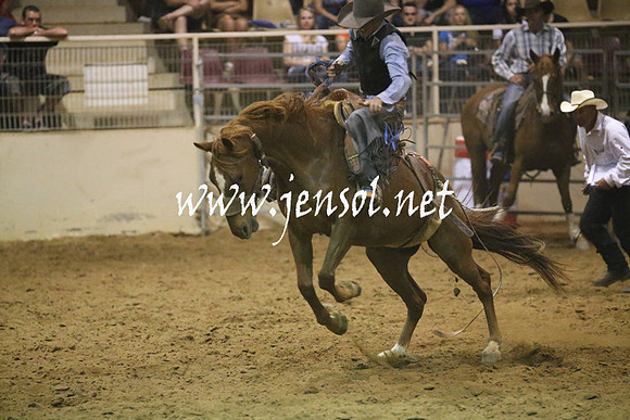 RealDealRodeoNov2013_1668