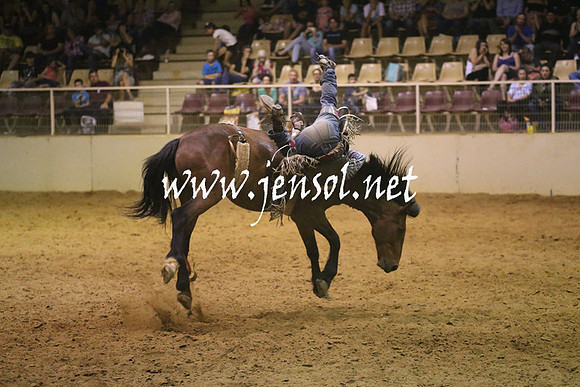 RealDealRodeoNov2013_1840