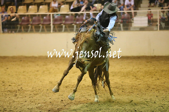 RealDealRodeoNov2013_1686