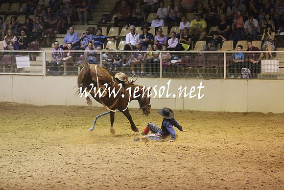 RealDealRodeoNov2013_1649