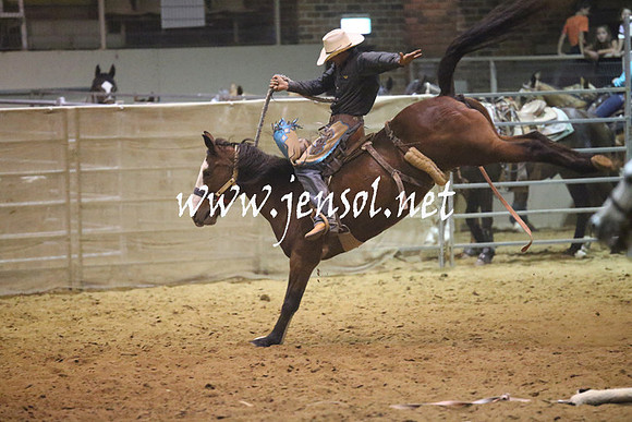 RealDealRodeoNov2013_1733