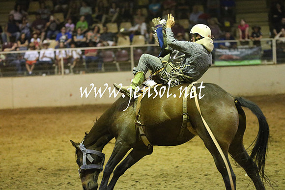 RealDealRodeoNov2013_1768