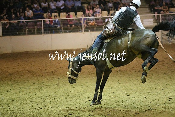 RealDealRodeoNov2013_1870