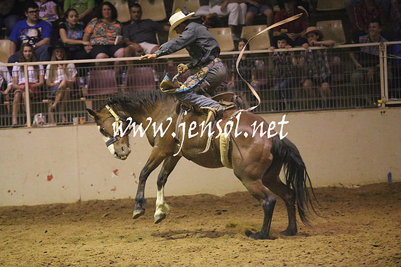 RealDealRodeoNov2013_1718