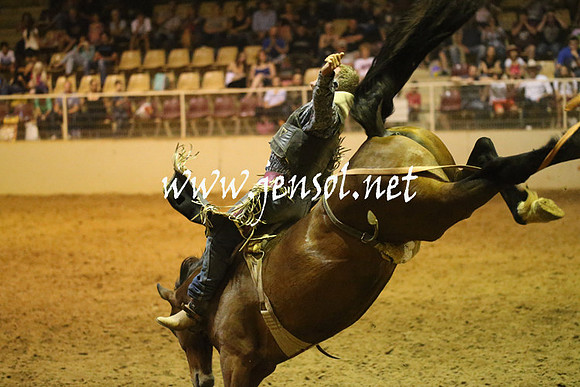 RealDealRodeoNov2013_1818