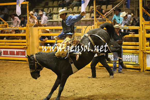 RealDealRodeoNov2013_1584