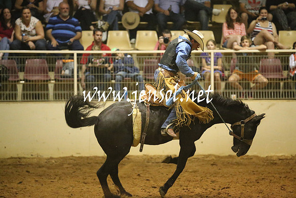 RealDealRodeoNov2013_1601