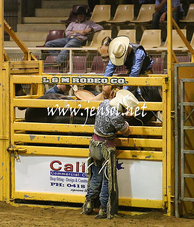 RealDealRodeoNov2013_1548