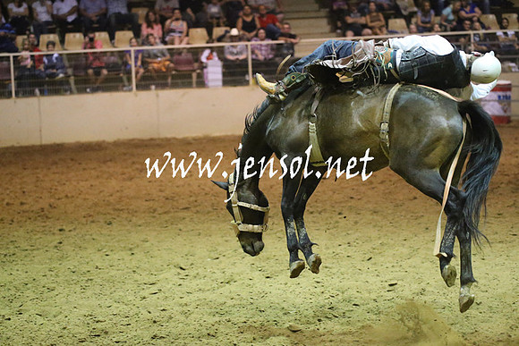 RealDealRodeoNov2013_1868