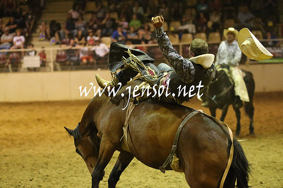 RealDealRodeoNov2013_1814