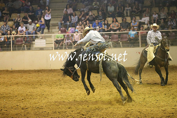 RealDealRodeoNov2013_0831