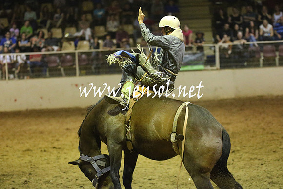 RealDealRodeoNov2013_1767