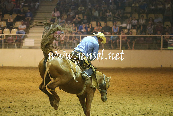 RealDealRodeoNov2013_0894