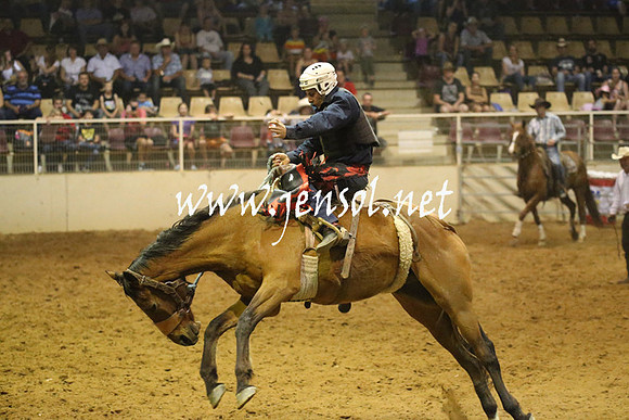 RealDealRodeoNov2013_0845