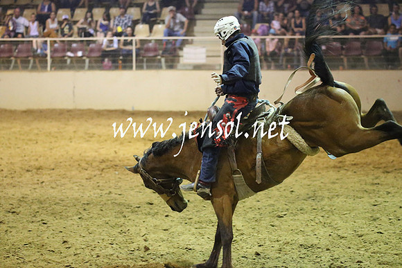 RealDealRodeoNov2013_0850