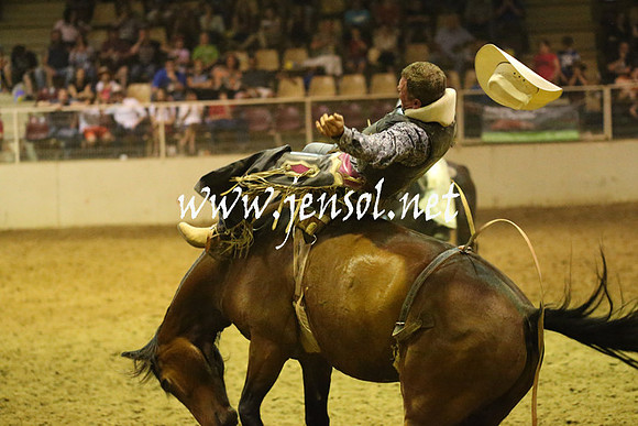 RealDealRodeoNov2013_1813