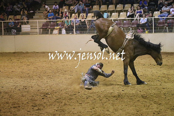 RealDealRodeoNov2013_1848