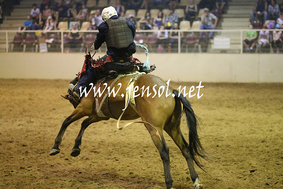 RealDealRodeoNov2013_0854