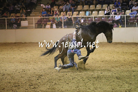 RealDealRodeoNov2013_1845