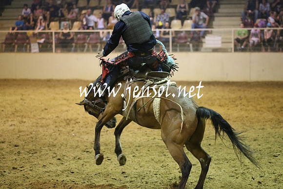 RealDealRodeoNov2013_0853