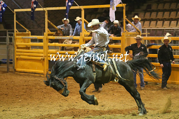 RealDealRodeoNov2013_0816