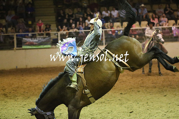 RealDealRodeoNov2013_1764