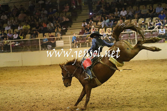 RealDealRodeoNov2013_1644