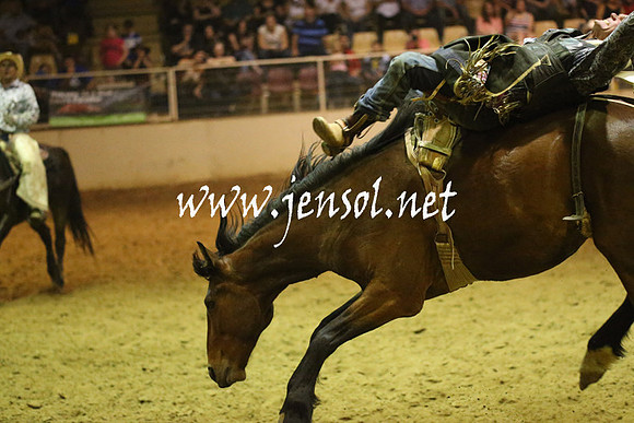 RealDealRodeoNov2013_1808
