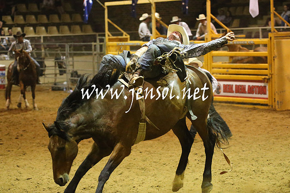 RealDealRodeoNov2013_1802
