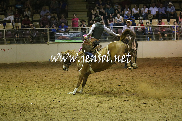 RealDealRodeoNov2013_1557