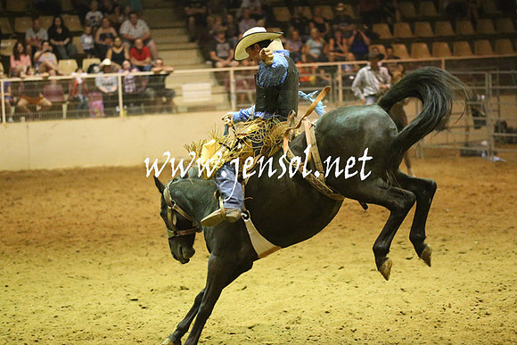RealDealRodeoNov2013_1595