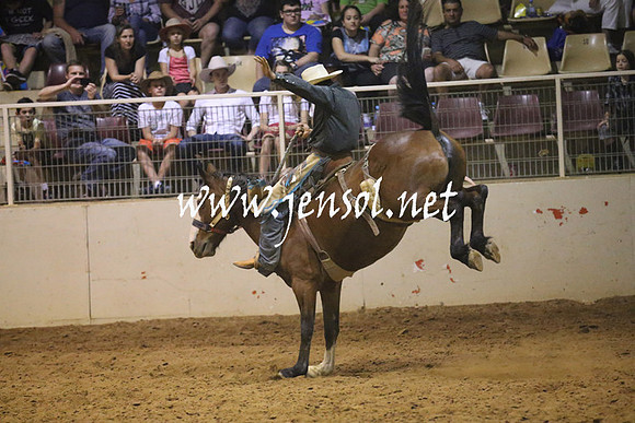 RealDealRodeoNov2013_1721