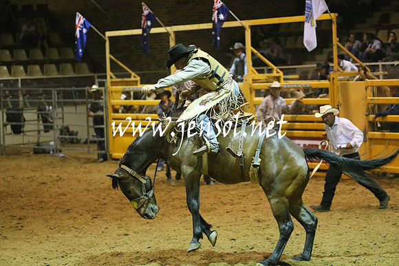 RealDealRodeoNov2013_1567