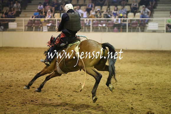 RealDealRodeoNov2013_0855