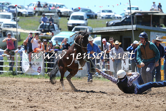 BungendoreRodeo2014_1480