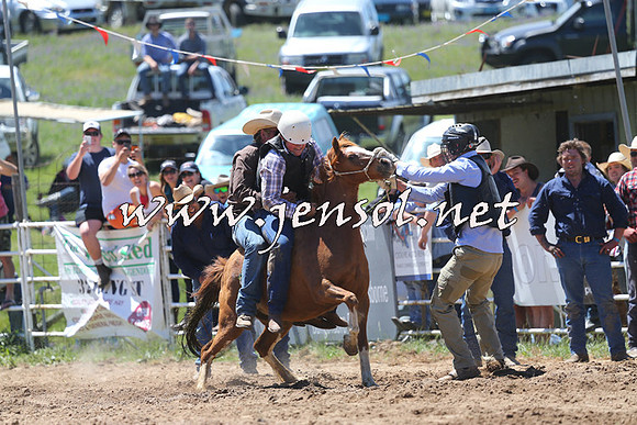 BungendoreRodeo2014_1555