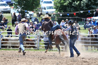 BungendoreRodeo2014_1455