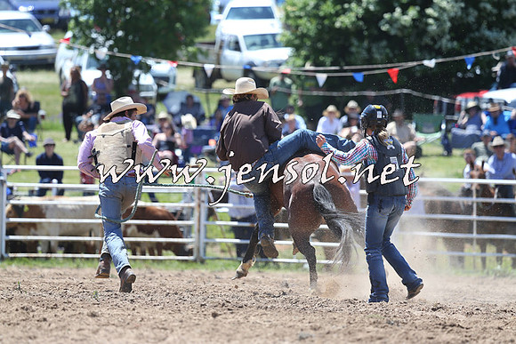 BungendoreRodeo2014_1455