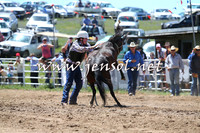 BungendoreRodeo2014_1482