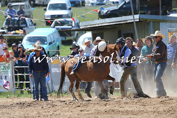 BungendoreRodeo2014_1547