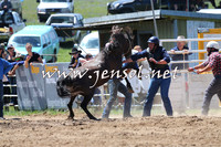 BungendoreRodeo2014_1490