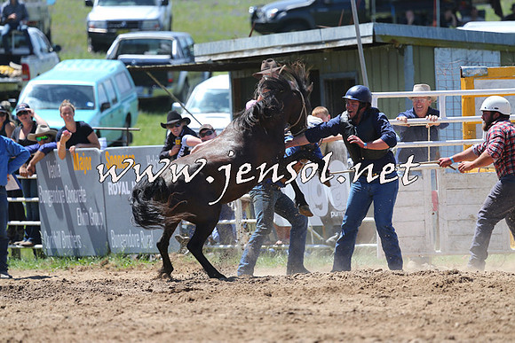 BungendoreRodeo2014_1490