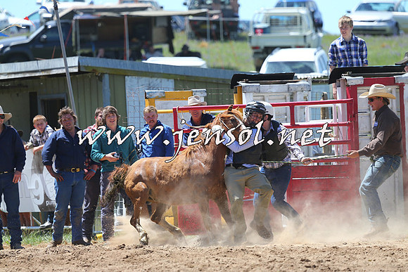 BungendoreRodeo2014_1544