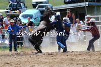 BungendoreRodeo2014_1484