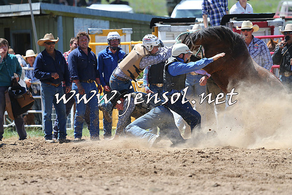 BungendoreRodeo2014_1538