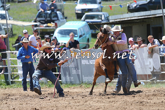 BungendoreRodeo2014_1504