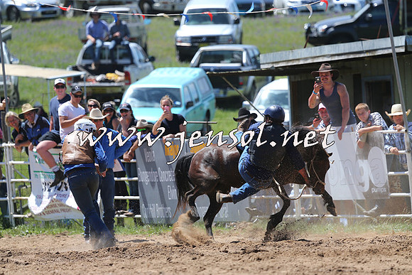 BungendoreRodeo2014_1493