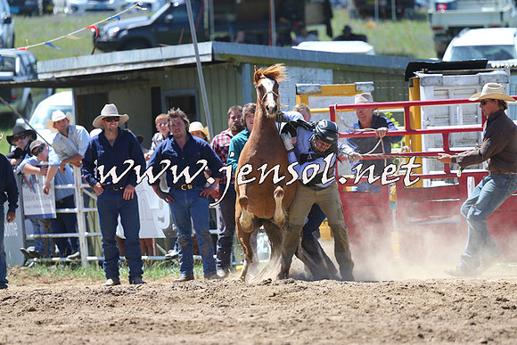 BungendoreRodeo2014_1545