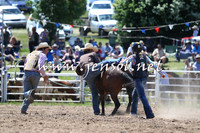 BungendoreRodeo2014_1456