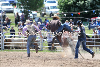 BungendoreRodeo2014_1454